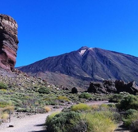 Marody Tenerife House Эль-Медано Экстерьер фото