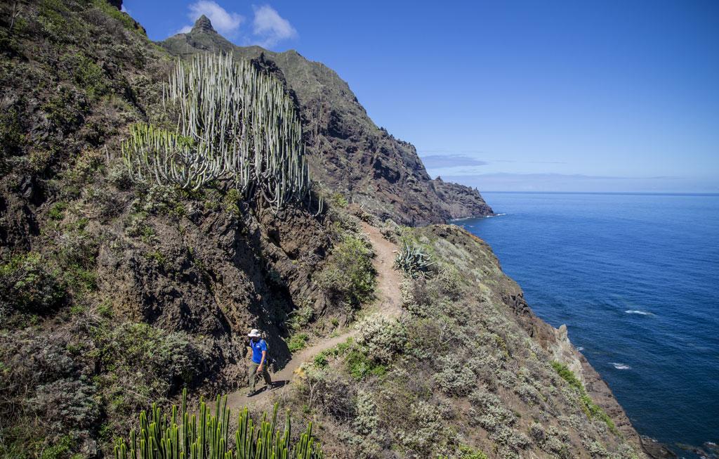 Marody Tenerife House Эль-Медано Экстерьер фото