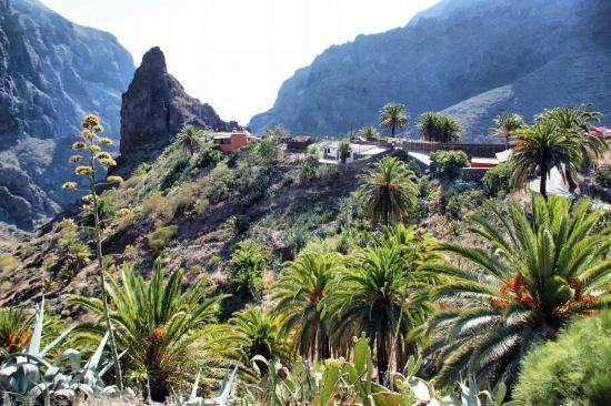 Marody Tenerife House Эль-Медано Экстерьер фото